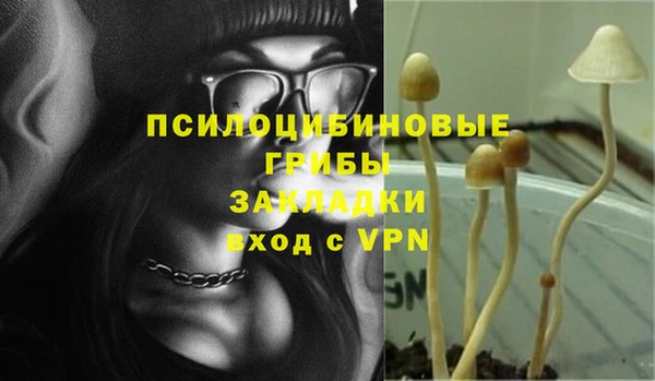 mdpv Гусь-Хрустальный