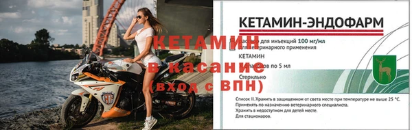 прущие грибы Гусев