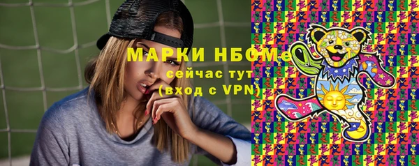прущие грибы Гусев