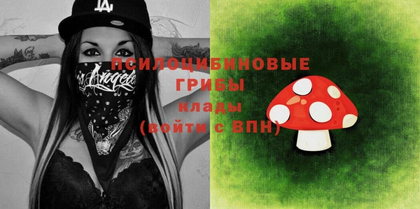 прущие грибы Гусев