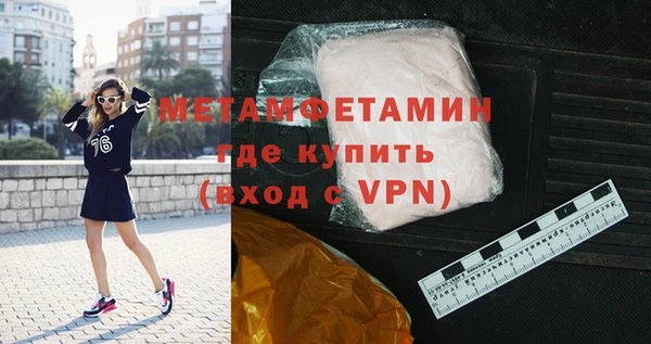 прущие грибы Гусев