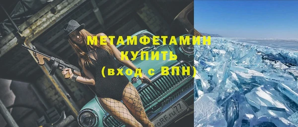 прущие грибы Гусев