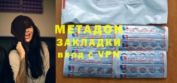 прущие грибы Гусев