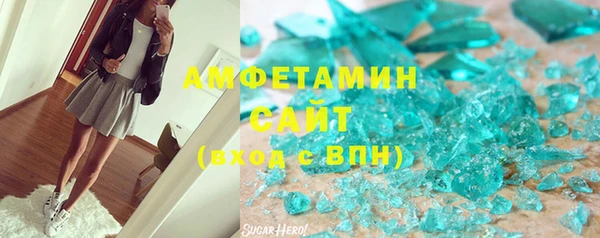 прущие грибы Гусев