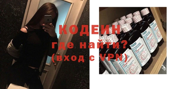 прущие грибы Гусев