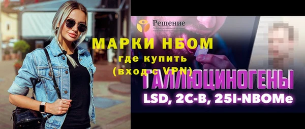 прущие грибы Гусев