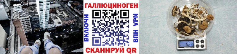 Псилоцибиновые грибы Magic Shrooms Меленки